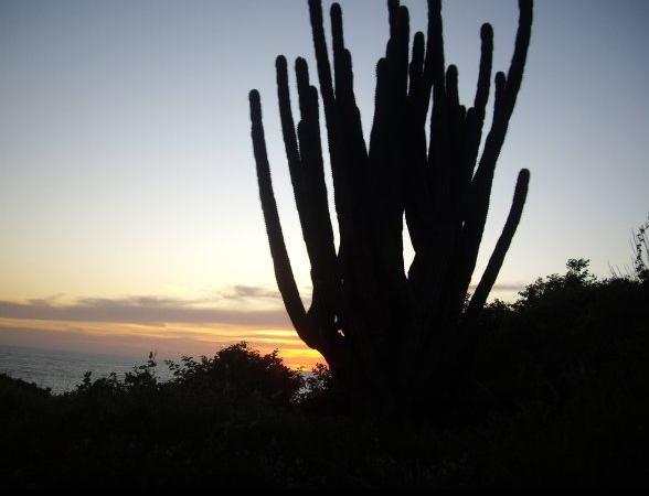 oaxaca 3