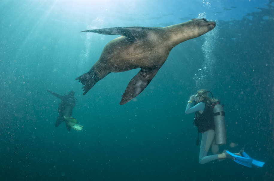 Islas Galápagos