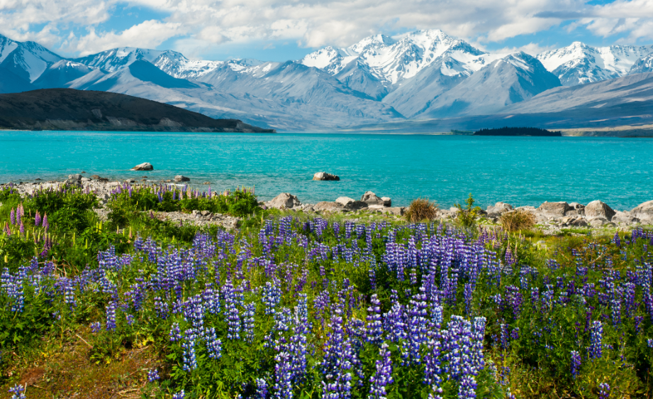 Nueva Zelanda