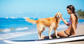 Los mejores lugares para viajar con perros