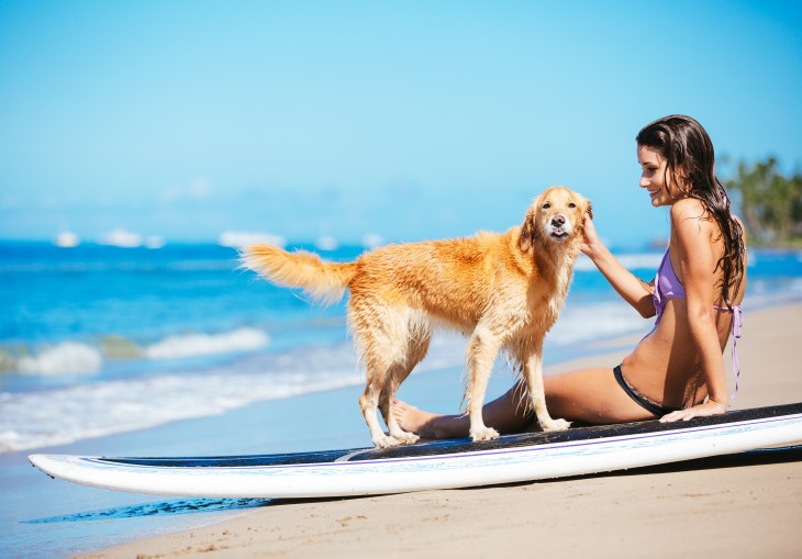 Los mejores lugares para viajar con perros