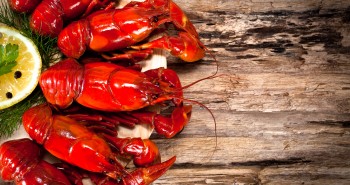Fetsivales gastronómicos en el mundo