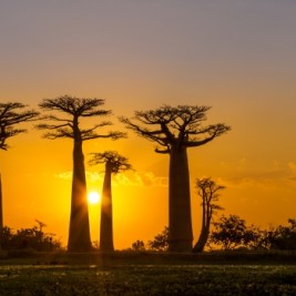 Ahora o nunca: Lugares en peligro de extinción