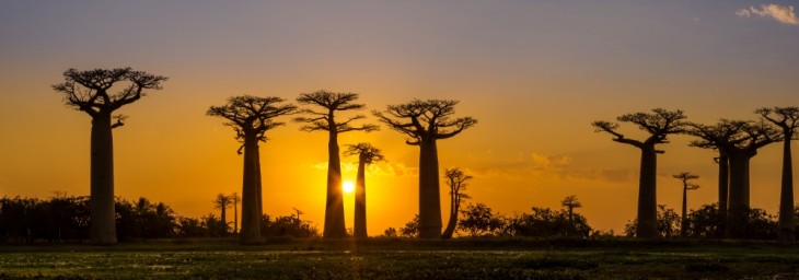 Ahora o nunca: Lugares en peligro de extinción