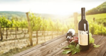 De ruta por la Ribera del Duero