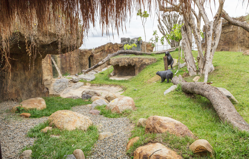 Parque Ukumarí