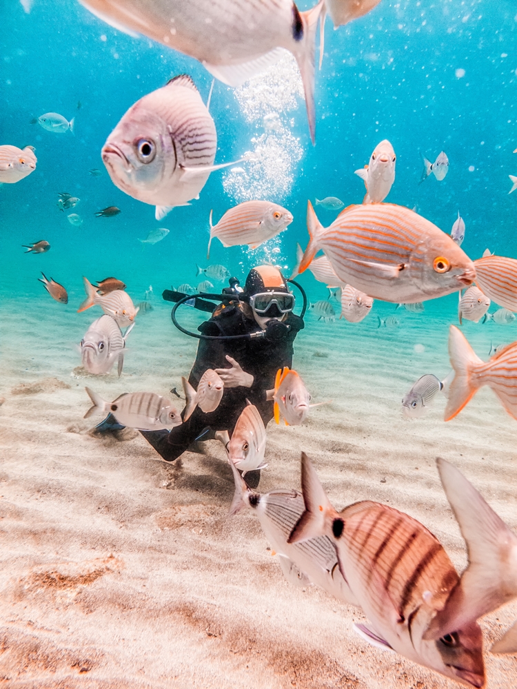Turismo en islas Canarias
