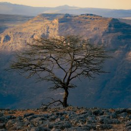 Paisaje de mesetas y precipicios en los montes Simien, en el norte de Etiopía