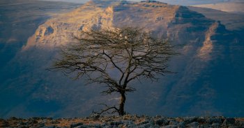 Paisaje de mesetas y precipicios en los montes Simien, en el norte de Etiopía