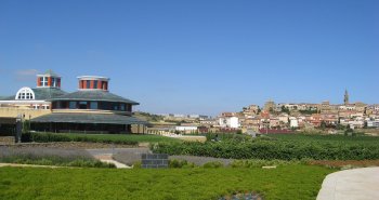 Panorámica de Briones sobre su cerro, con la torre barroca destacando entre viñedos de Rioja Alta
