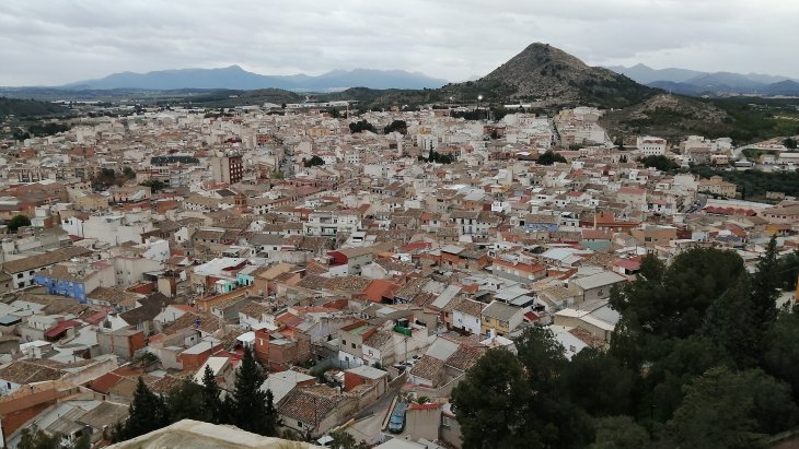 Vista de los arrozales de Calasparra junto al río Segura con el pueblo y las sierras al fondo