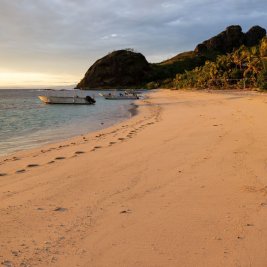 Playa de arena blanca con palmeras y aguas turquesas en una isla de Fiyi