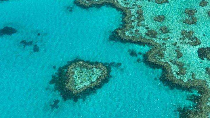 Vista aérea de los arrecifes turquesas de la Gran Barrera de Coral australiana