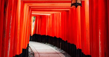 Viajero caminando entre los torii rojos del santuario Fushimi Inari en Kioto