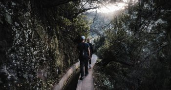 Sendero de una levada entre bosque verde en la isla de Madeira