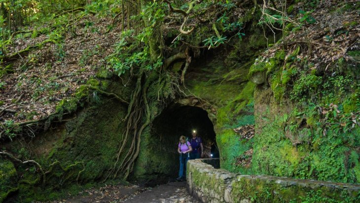Sendero junto a una levada entre la vegetación de laurisilva en Madeira