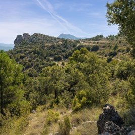 Vista panorámica de Moratalla con su castillo y el caserío escalonado en la ladera, rodeado de sierras
