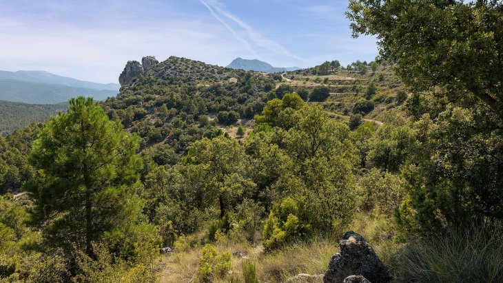 Vista panorámica de Moratalla con su castillo y el caserío escalonado en la ladera, rodeado de sierras