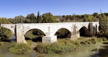 El castillo de Peñafiel alargado sobre su cerro dominando la villa y el valle del Duero