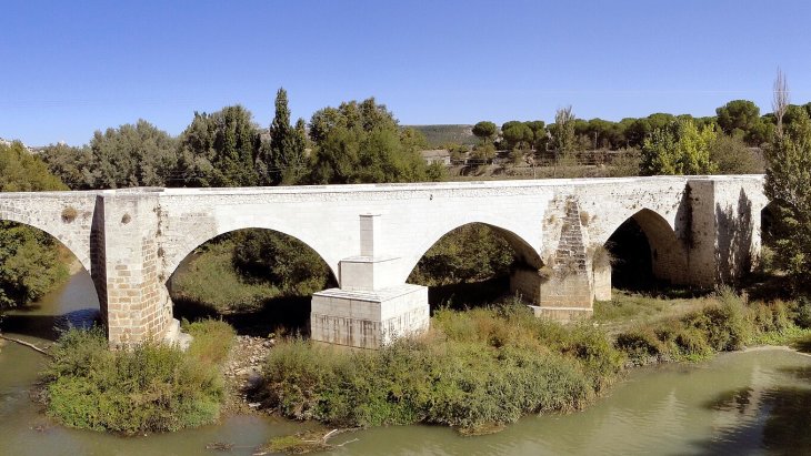 El castillo de Peñafiel alargado sobre su cerro dominando la villa y el valle del Duero