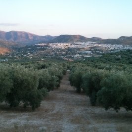 Fuente del Rey y caserío blanco de Priego de Córdoba, en la comarca de la Subbética
