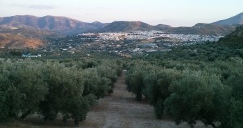Fuente del Rey y caserío blanco de Priego de Córdoba, en la comarca de la Subbética