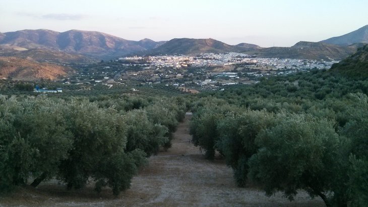Fuente del Rey y caserío blanco de Priego de Córdoba, en la comarca de la Subbética