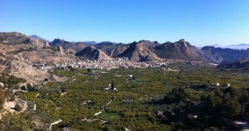 Vista panorámica de Ricote rodeado de huertos de limoneros y palmeras, con las sierras áridas del Valle de Ricote al fondo