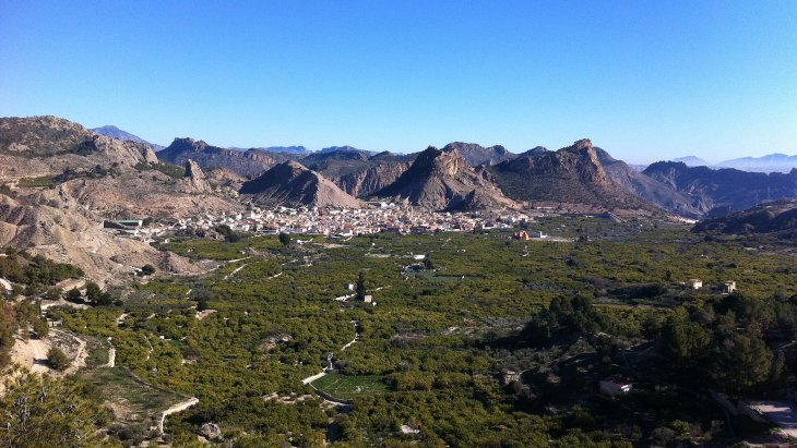 Vista panorámica de Ricote rodeado de huertos de limoneros y palmeras, con las sierras áridas del Valle de Ricote al fondo