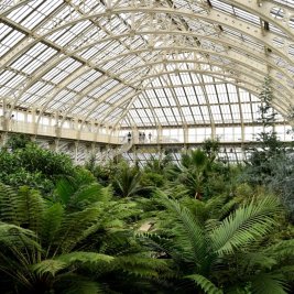 Gran invernadero de hierro y cristal rodeado de vegetación exuberante en un jardín botánico