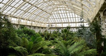 Gran invernadero de hierro y cristal rodeado de vegetación exuberante en un jardín botánico
