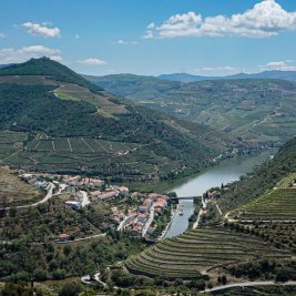 Terrazas de viñedos sobre el río Duero en Portugal