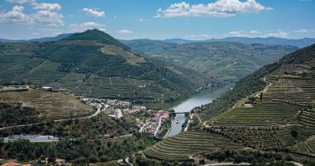 Terrazas de viñedos sobre el río Duero en Portugal