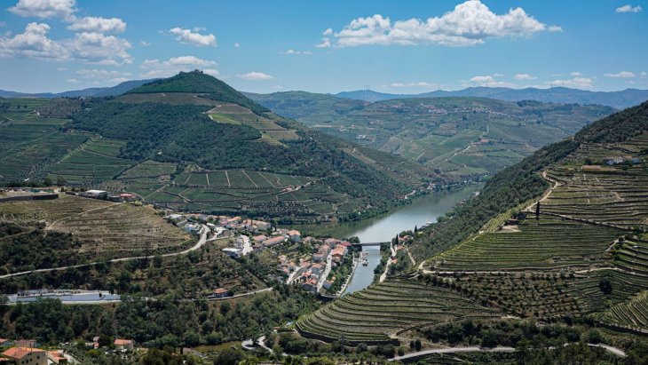 Terrazas de viñedos sobre el río Duero en Portugal